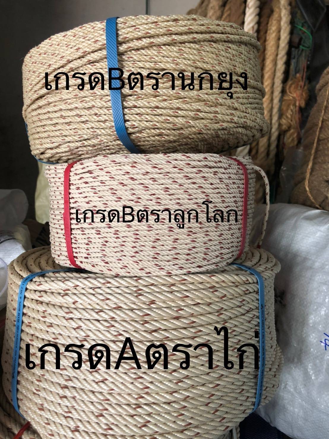 24 - https://weenyasafety.com | WANYA INTER SAFETY - จำหน่ายอุปกรณ์เซฟตี้และ​อุปกรณ์จราจร​ จำหน่ายทั้งราคาปลีกและส่ง จัดส่งทั่วประเทศ